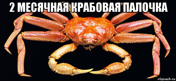 krab_204007116_orig_.jpg