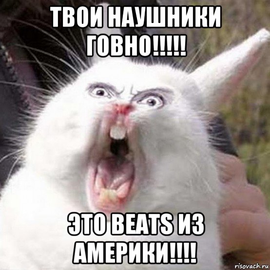 твои наушники говно!!!!! это beats из америки!!!!