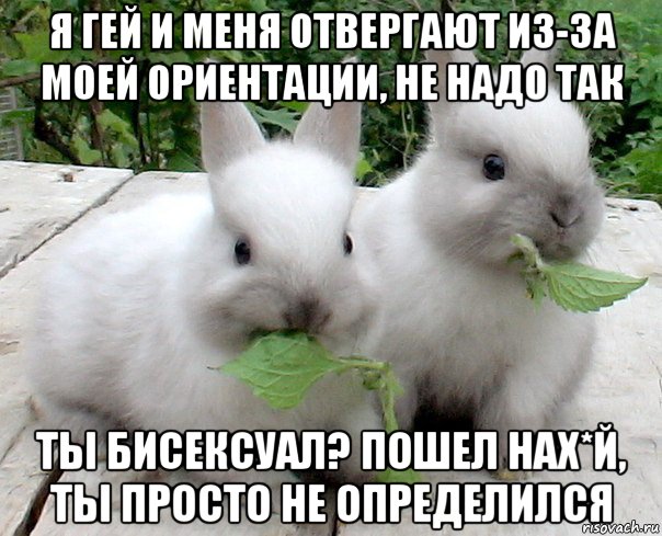 я гей и меня отвергают из-за моей ориентации, не надо так ты бисексуал? пошел нах*й, ты просто не определился