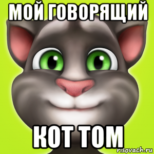 мой говорящий кот том, Мем Мой говорящий том оригинал мини