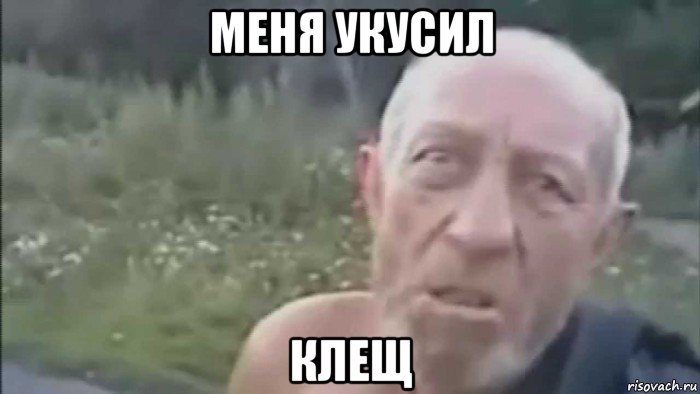 меня укусил клещ