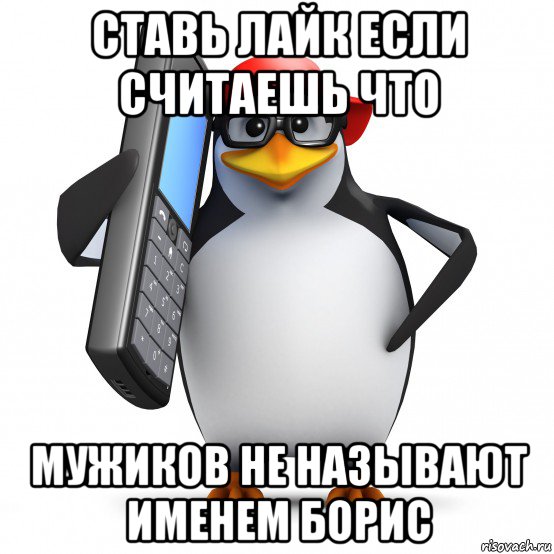 ставь лайк если считаешь что мужиков не называют именем борис, Мем   Пингвин звонит