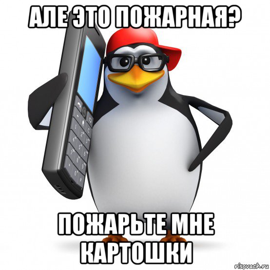 але это пожарная? пожарьте мне картошки, Мем   Пингвин звонит