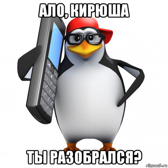 ало, кирюша ты разобрался?, Мем   Пингвин звонит