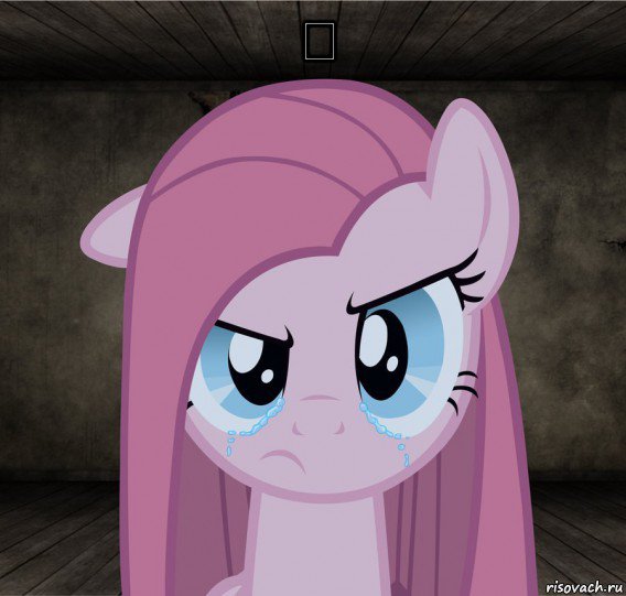 ₩ , Мем Pinkamena Diane Pie