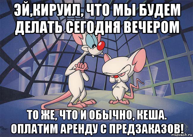 эй,кируил, что мы будем делать сегодня вечером то же, что и обычно, кеша. оплатим аренду с предзаказов!, Мем ПИНКИ И БРЕЙН