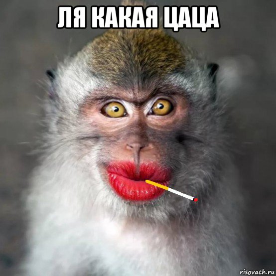 ля какая цаца , Мем Покурила