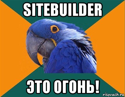 sitebuilder это огонь!, Мем Попугай параноик