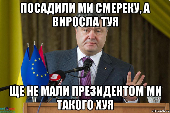посадили ми смереку, а виросла туя ще не мали президентом ми такого хуя