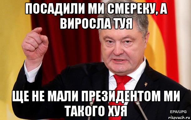 посадили ми смереку, а виросла туя ще не мали президентом ми такого хуя