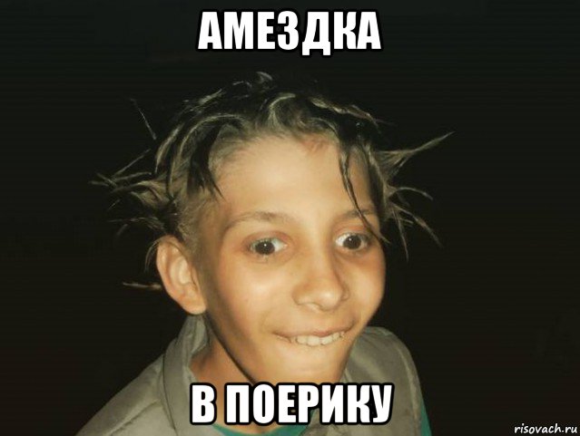 амездка в поерику