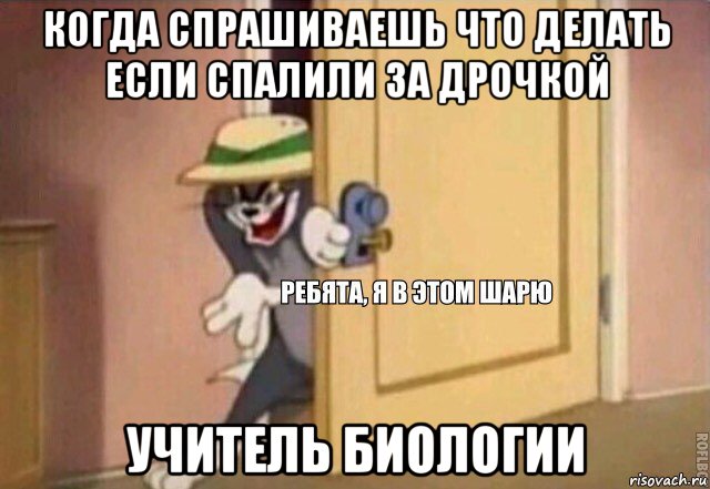 когда спрашиваешь что делать если спалили за дрочкой учитель биологии, Мем    Ребята я в этом шарю