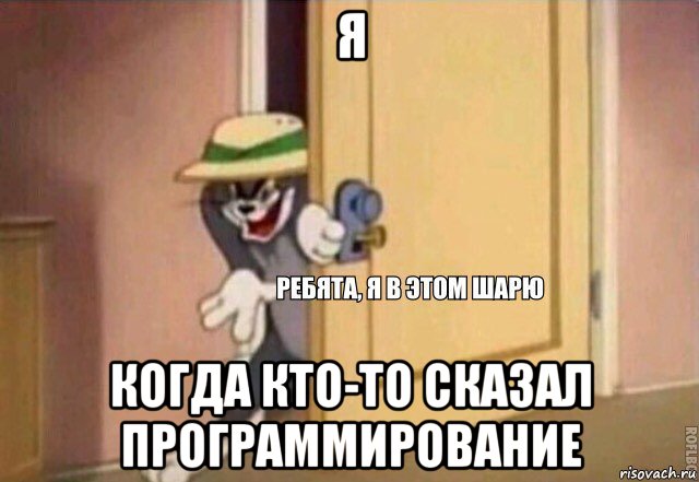 я когда кто-то сказал программирование, Мем    Ребята я в этом шарю