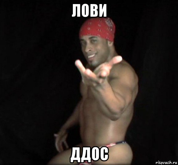 лови ддос