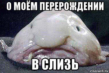 о моём перерождении в слизь, Мем Рыба-капля