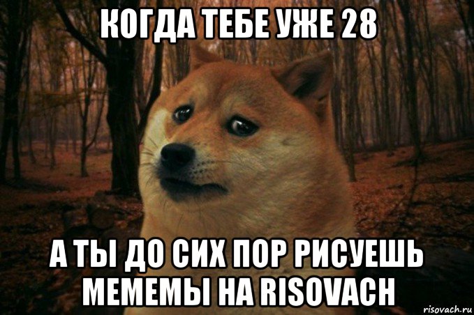 когда тебе уже 28 а ты до сих пор рисуешь мемемы на risovach, Мем SAD DOGE