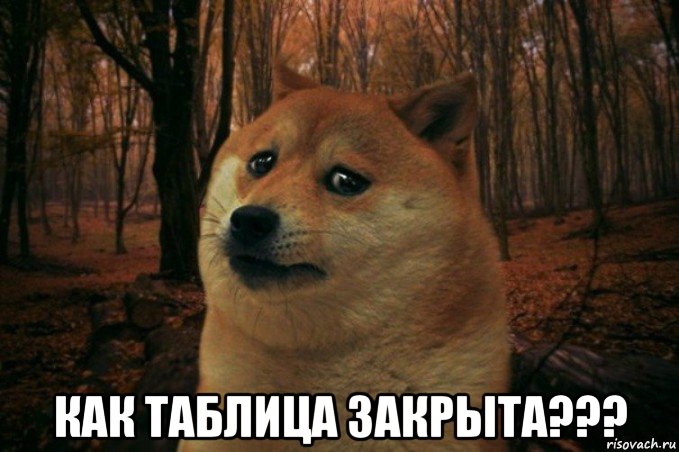  как таблица закрыта???, Мем SAD DOGE