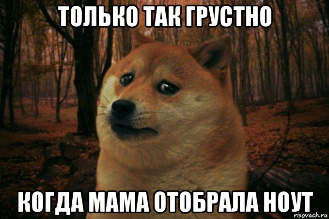 только так грустно когда мама отобрала ноут, Мем SAD DOGE