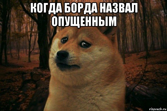 когда борда назвал опущенным , Мем SAD DOGE