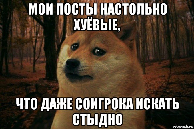 мои посты настолько хуёвые, что даже соигрока искать стыдно, Мем SAD DOGE