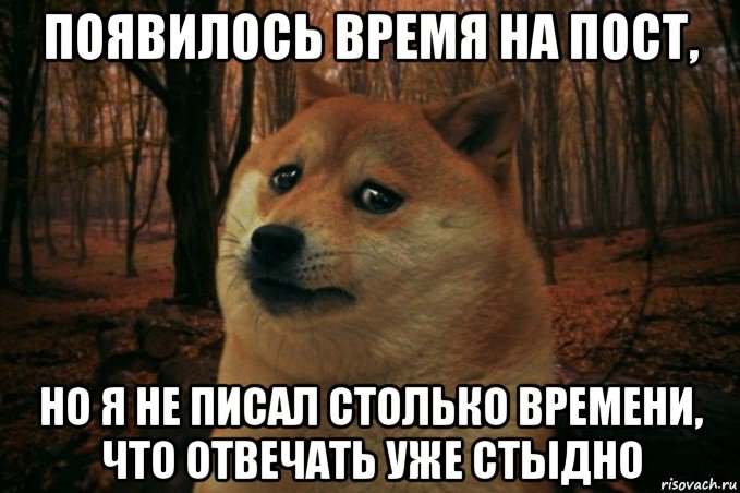 появилось время на пост, но я не писал столько времени, что отвечать уже стыдно, Мем SAD DOGE