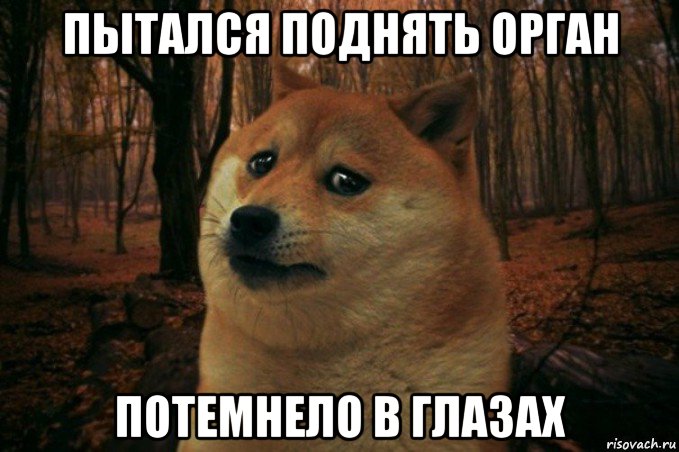 пытался поднять орган потемнело в глазах, Мем SAD DOGE