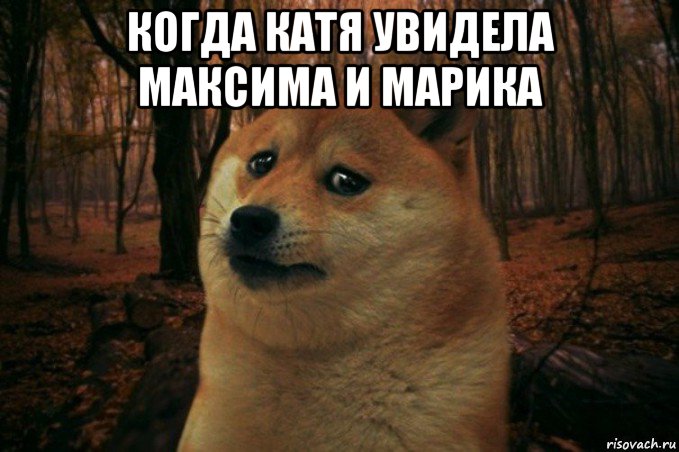 когда катя увидела максима и марика , Мем SAD DOGE