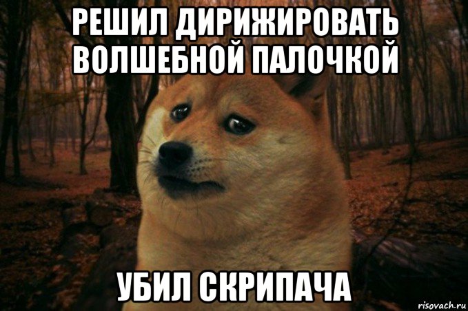 решил дирижировать волшебной палочкой убил скрипача, Мем SAD DOGE