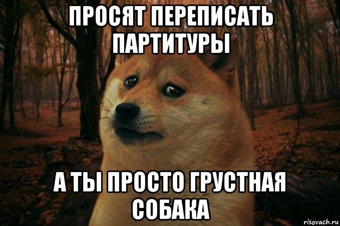 просят переписать партитуры а ты просто грустная собака, Мем SAD DOGE