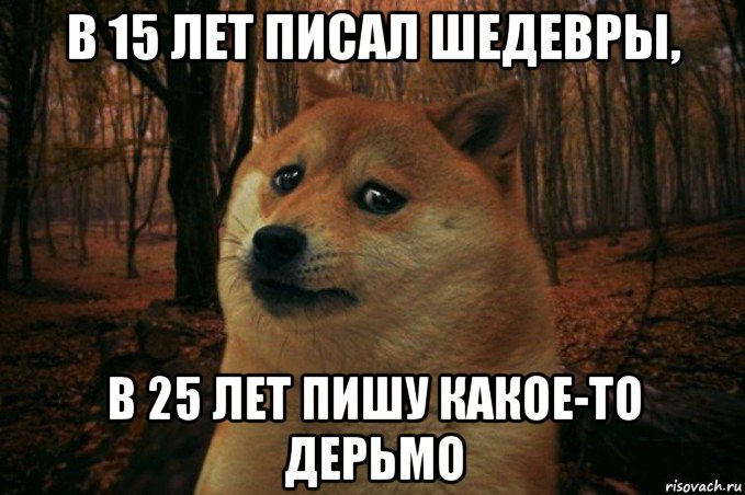 в 15 лет писал шедевры, в 25 лет пишу какое-то дерьмо, Мем SAD DOGE