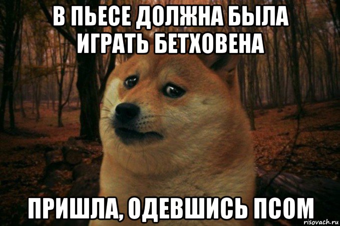 в пьесе должна была играть бетховена пришла, одевшись псом, Мем SAD DOGE