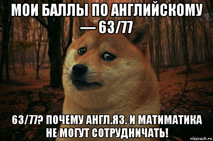 мои баллы по английскому — 63/77 63/77? почему англ.яз. и матиматика не могут сотрудничать!, Мем SAD DOGE