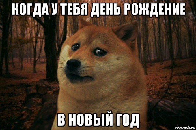 когда у тебя день рождение в новый год, Мем SAD DOGE