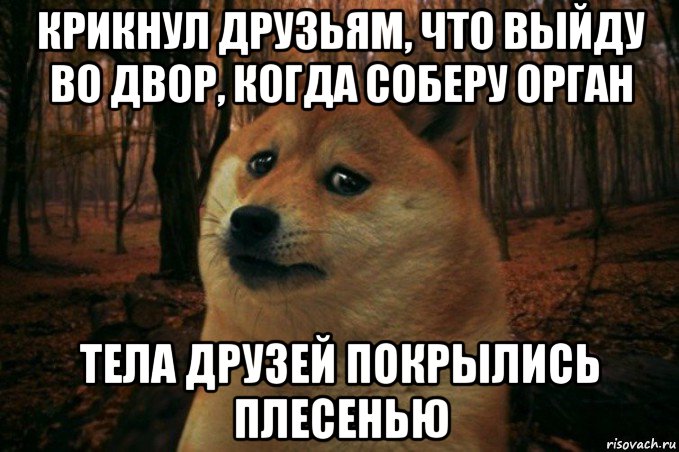 крикнул друзьям, что выйду во двор, когда соберу орган тела друзей покрылись плесенью, Мем SAD DOGE