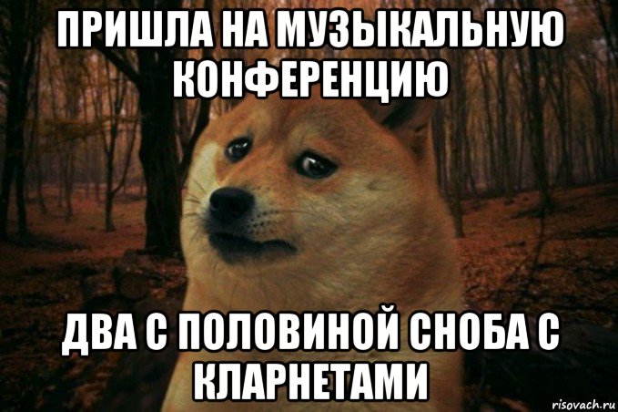 пришла на музыкальную конференцию два с половиной сноба с кларнетами, Мем SAD DOGE