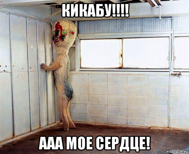 кикабу!!!! ааа мое сердце!
