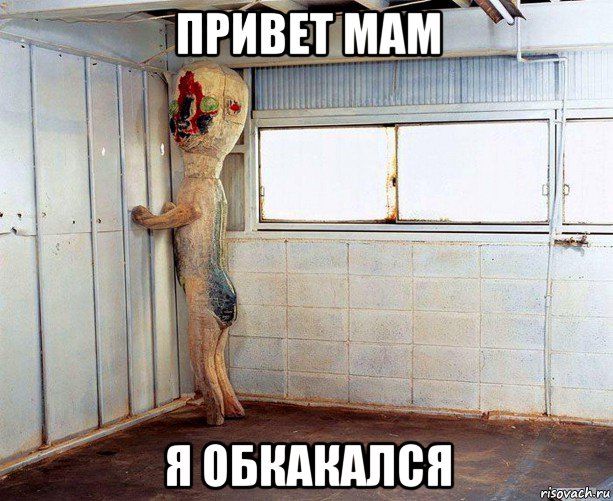 привет мам я обкакался