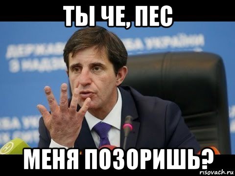 ты че, пес меня позоришь?