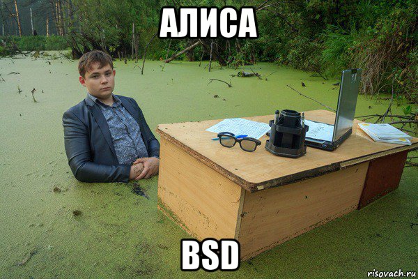 алиса bsd