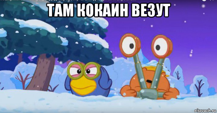 там кокаин везут 