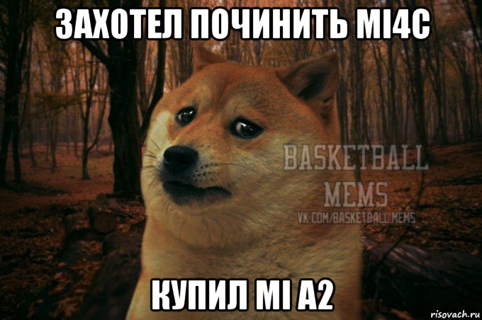 захотел починить mi4c купил mi a2, Мем Собака Basletball Mems