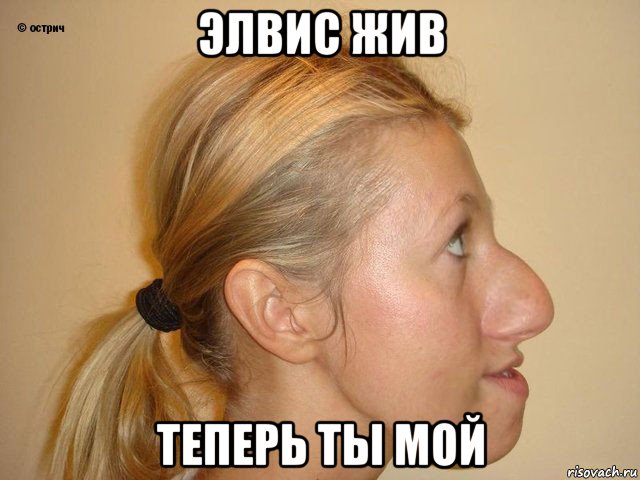 элвис жив теперь ты мой
