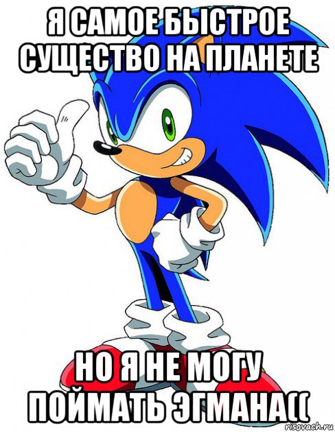 я самое быстрое существо на планете но я не могу поймать эгмана((, Мем Sonic X