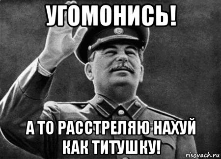 угомонись! а то расстреляю нахуй как титушку!