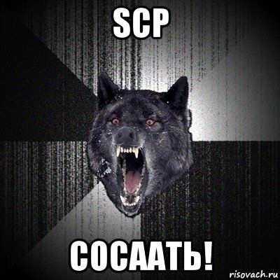 scp сосаать!, Мем Сумасшедший волк