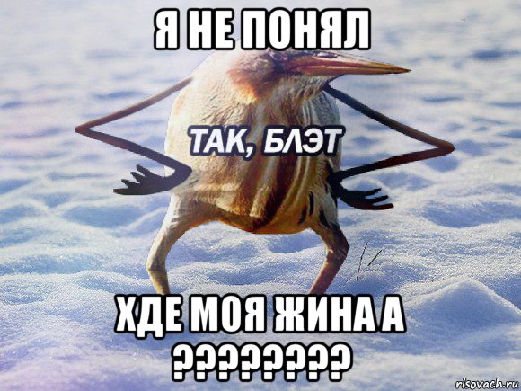 я не понял хде моя жина а ????????