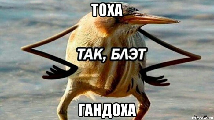 тоха гандоха, Мем  Так блэт