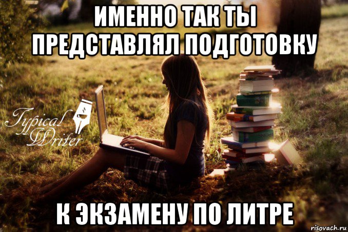 именно так ты представлял подготовку к экзамену по литре, Мем Типичный писатель