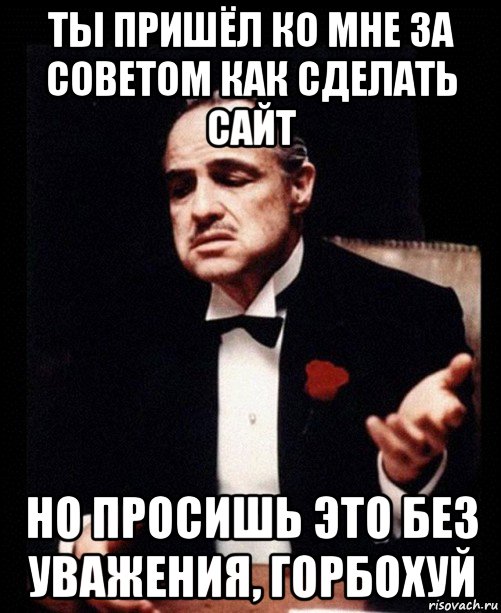 ты пришёл ко мне за советом как сделать сайт но просишь это без уважения, горбохуй, Мем ты делаешь это без уважения