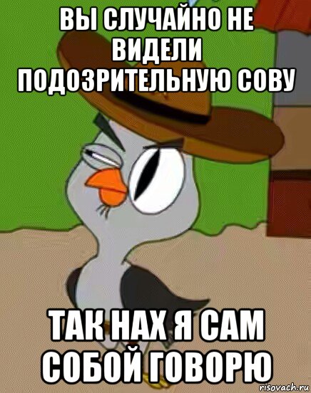 вы случайно не видели подозрительную сову так нах я сам собой говорю, Мем    Упоротая сова